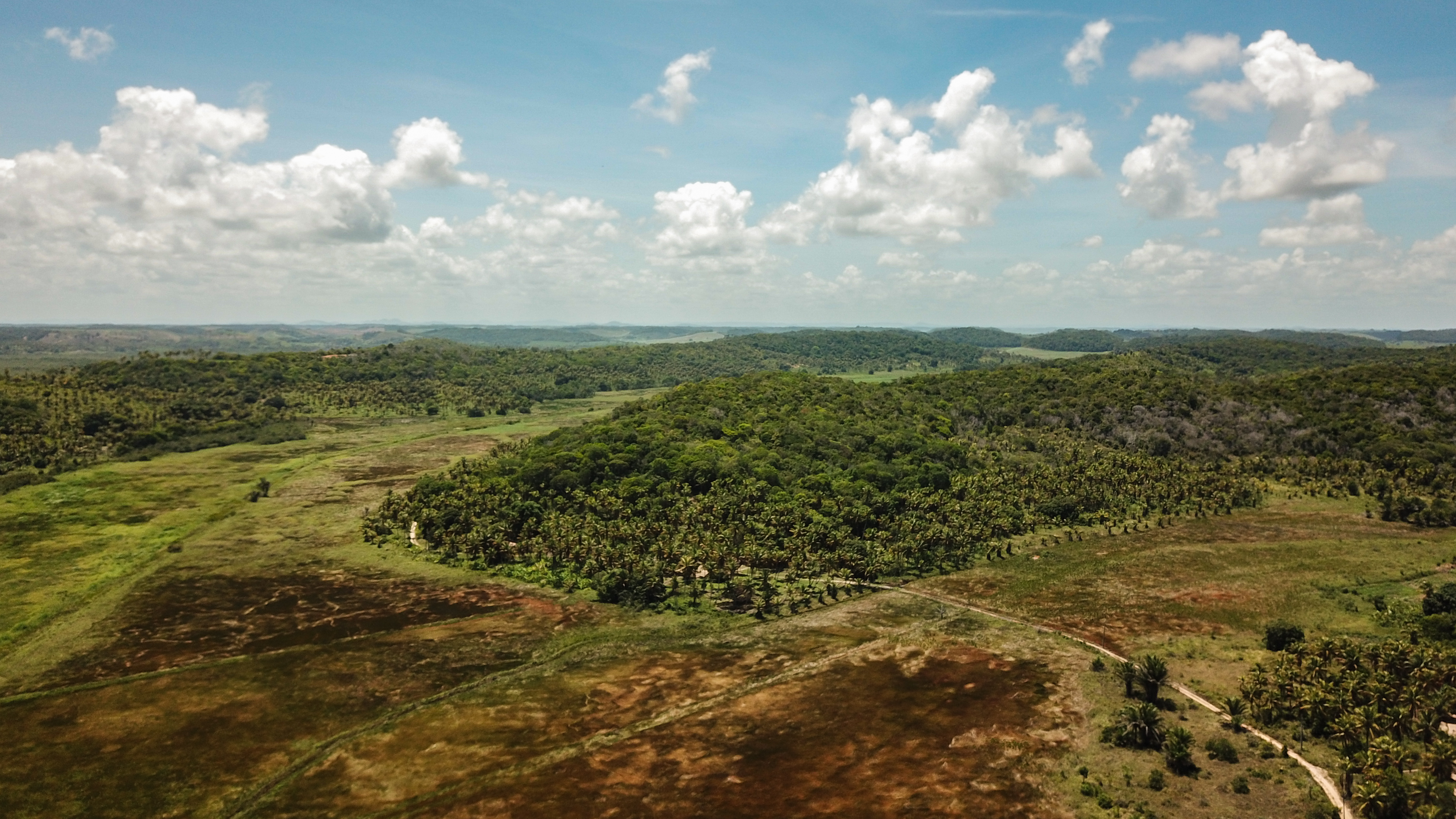 Vista aérea da Reserva Ecológica Yacy em Japaratinga