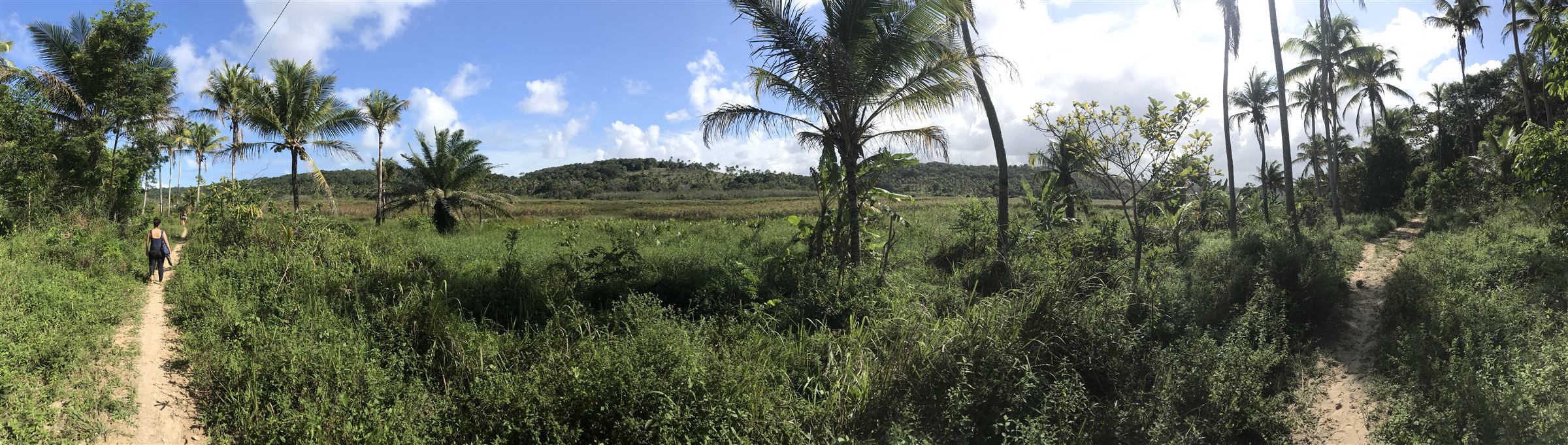Trilha na Reserva Ecológica Yacy, Japaratinga
